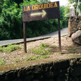 The road sign pointing down a nearly-overgrown cobblestone driveway to the hidden gem, La Orquidea B&B